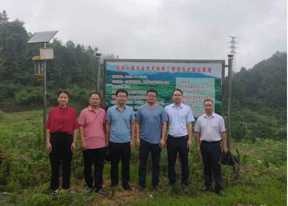 木薯体系“两岗一站”专家到三明站对接交流木薯种质材料利用