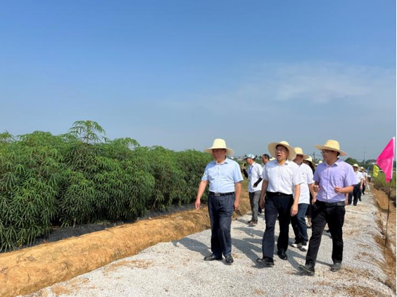 南昌站在江西省农业科学院成果推介会 推介木薯北移栽培和间套作技术