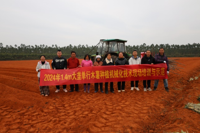 木薯大垄单行机械化种植技术首次在我国投入生产应用