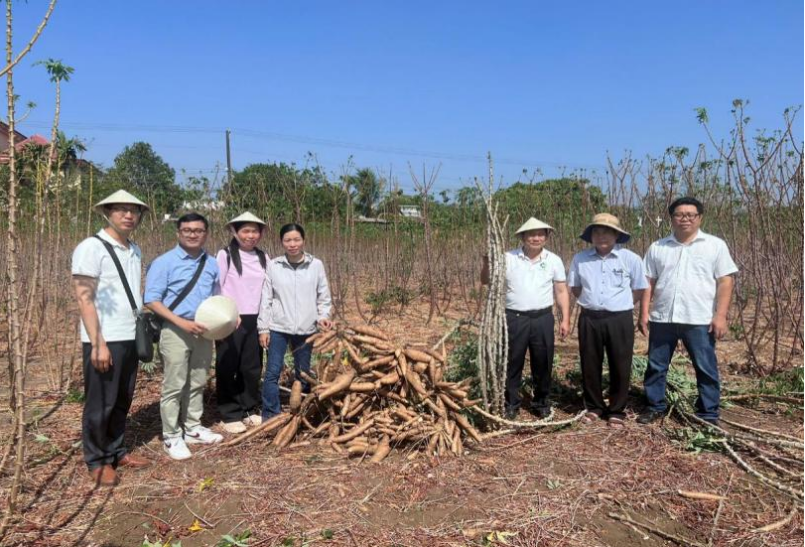 土肥水管理岗位团队赴越南开展木薯学术交流及考察