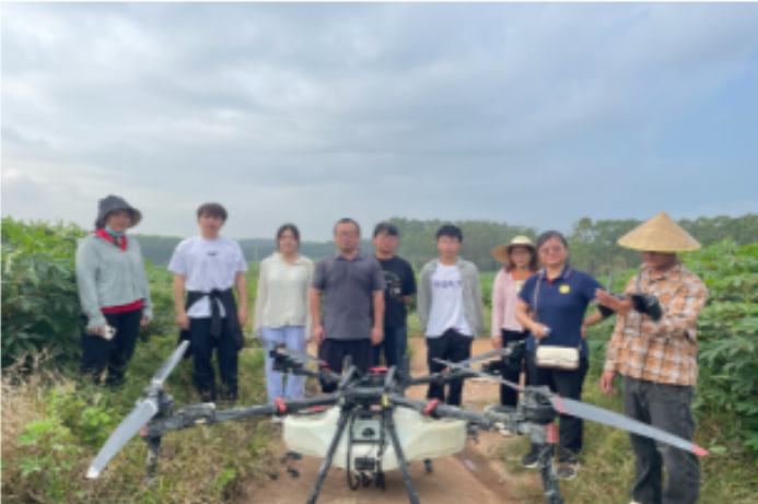 岗站联合开展木薯花叶病重点踏查与免疫诱抗剂防效评价试验