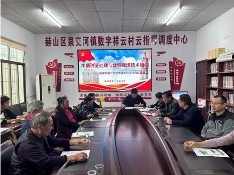 长沙综合试验站赴湖南省益阳市开展木薯科技服务工作