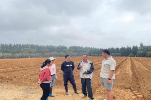 栽培生理岗黄洁老师团队到北海综合试验站指导试验和大田生产工作
