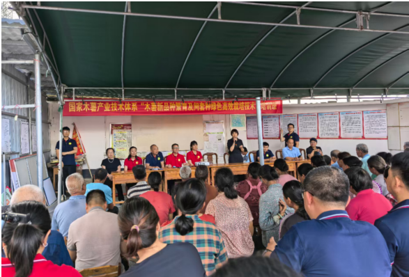 国家木薯产业技术体系贵港综合试验站在桂平市白沙镇举办“木薯新品种繁育及间套种绿色高效栽培技术”、“木薯饲料化利用技术”培训班