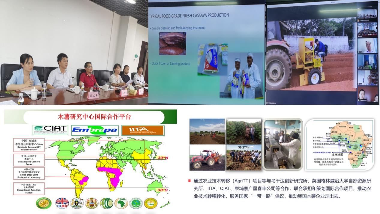 国家木薯产业技术研发中心与中工国际洽谈尼日利亚木薯合作