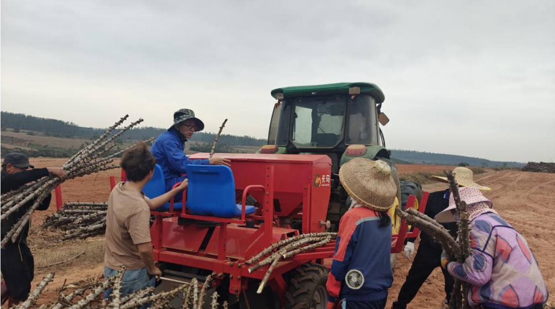 红土地上春耕忙 机械化种植助力木薯产业升级