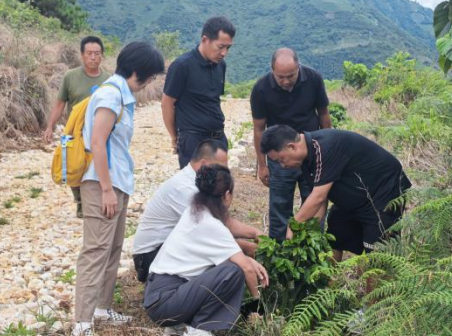 咖啡岗位科学家赴怒江泸水开展云南省闫林专家工作站项目推进会