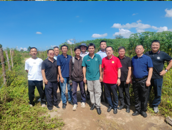国家木薯产业技术体系专家团队在老挝万象开展木薯产学研合作调研与技术交流