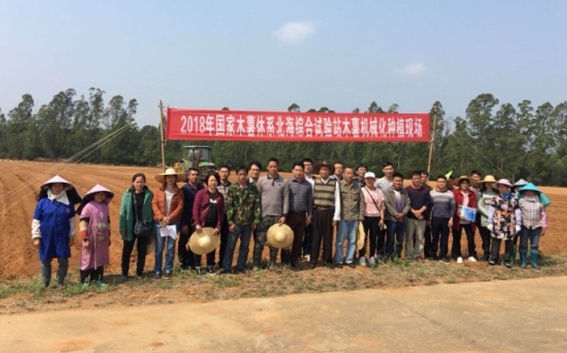 木薯宽窄双行起垄种植模式进入广西、海南 