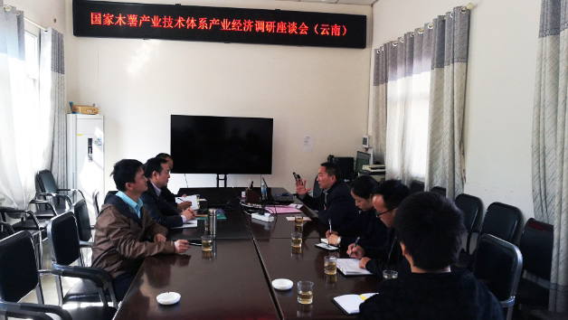 国家木薯产业技术体系产业经济岗位专家一行到云南调研