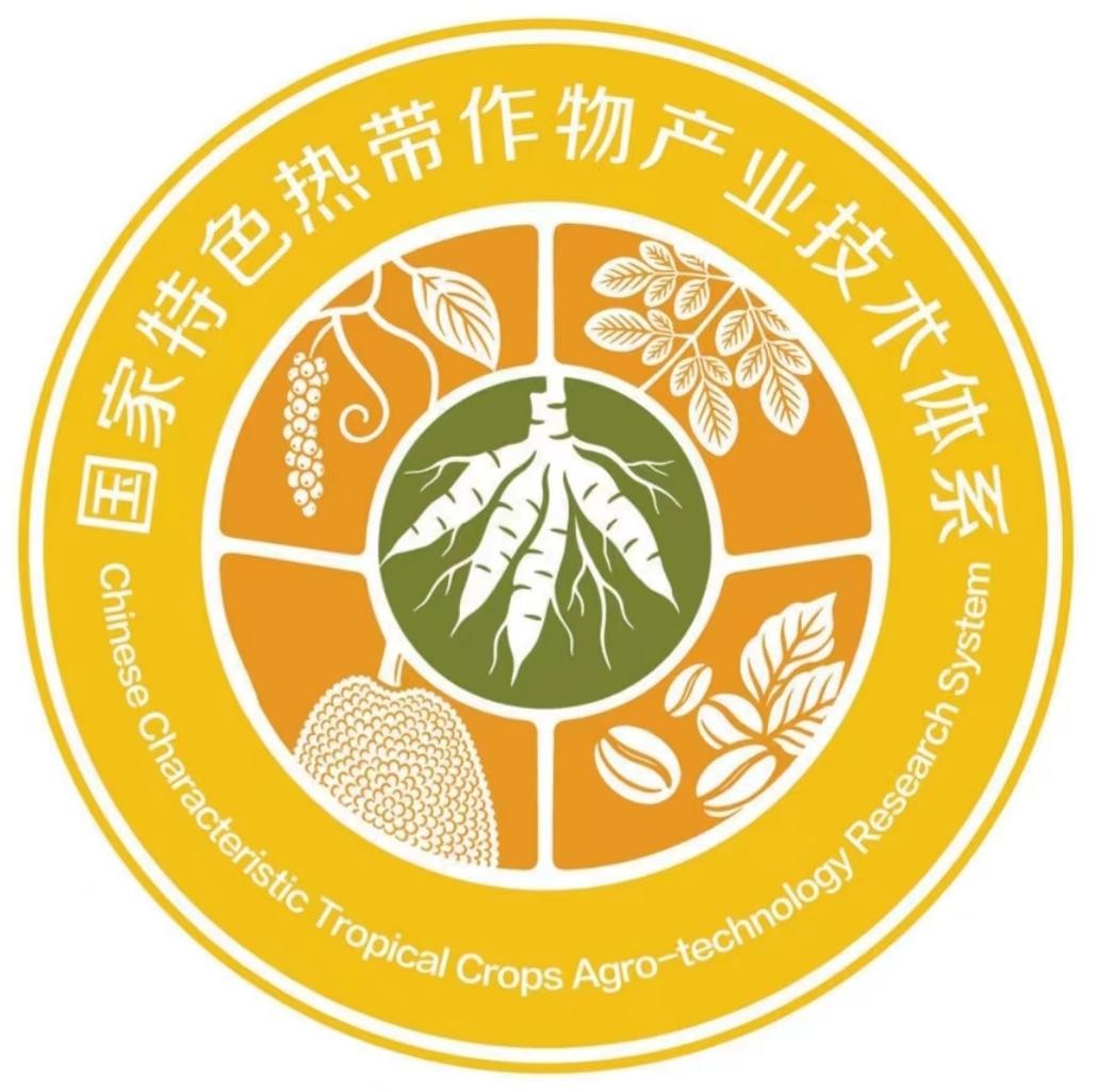 体系logo