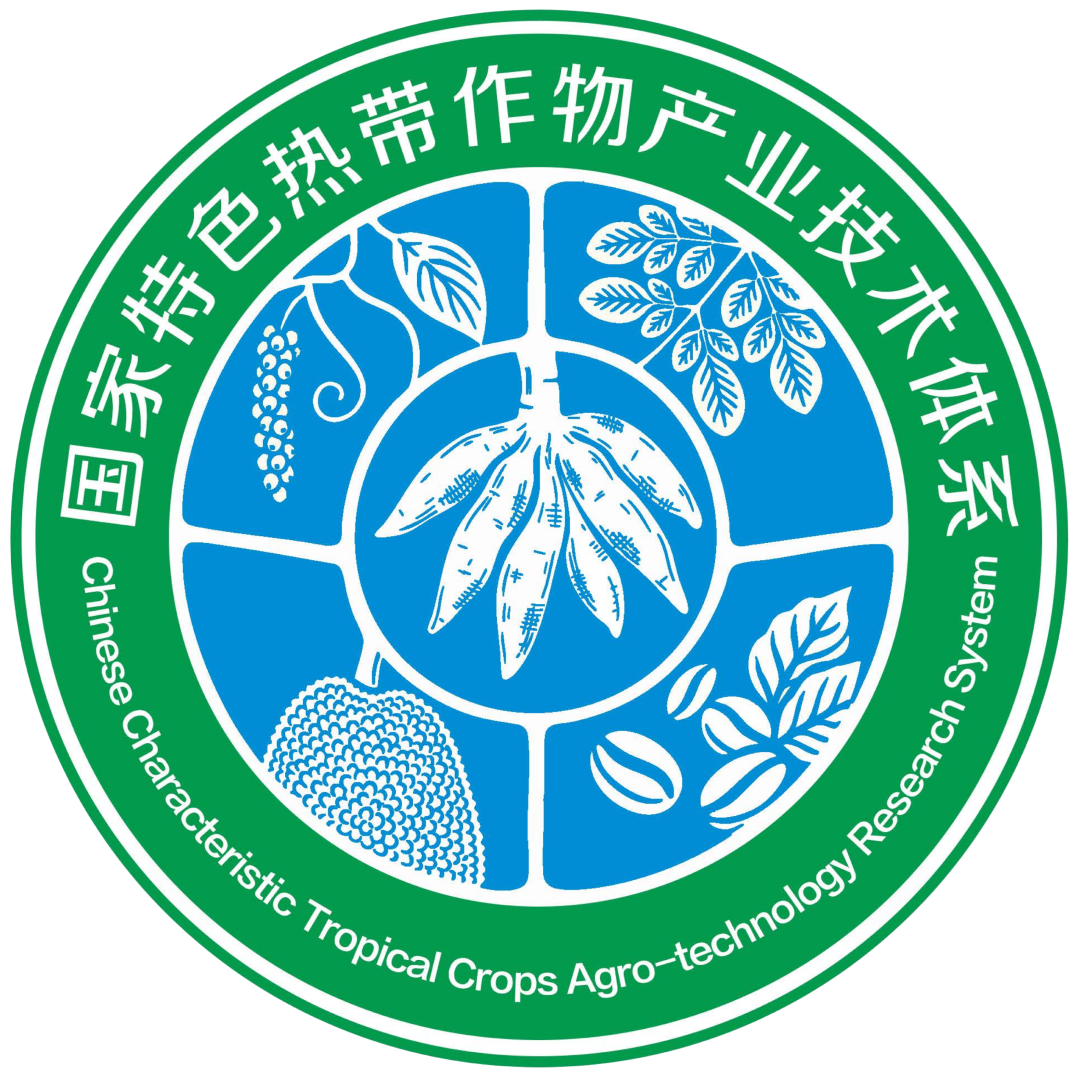 体系logo